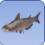 Siamese Catfish Siamese Catfish