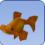 Goldfish Goldfish