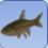 Minnow Minnow