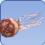 Jellyfish Jellyfish