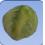 Lettuce Lettuce