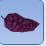 Grapes Grapes