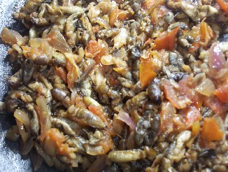Camarodish
