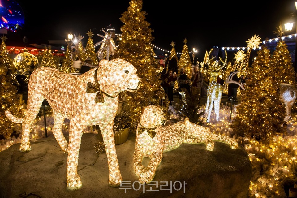 에버랜드 골든 일루미네이션 별빛 동물원