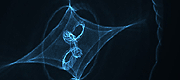 b02x_caustic3_01_tn.gif