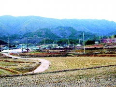 박상진이 양자로 간 경주 녹동마을 전경.3
