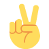 V표시를 하는 손 ✌️