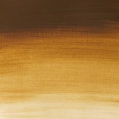 Professional Acrylic Raw Umber Light