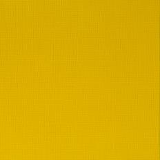 Professional Acrylic Azo Yellow Medium