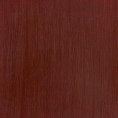 Professional Acrylic Burnt Sienna