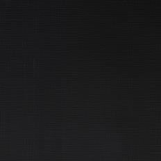 Professional Acrylic Ivory Black