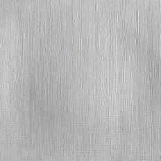 Professional Acrylic Silver