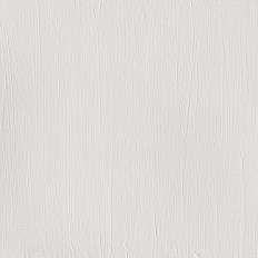 Professional Acrylic Titanium White