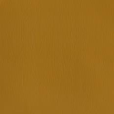 Professional Acrylic Yellow Iron Oxide