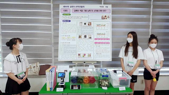 ▲ 춘천 석사초(교장 변해철)는 최근 강원교육과학정보원에서 열린 ‘제66회 강원도과학전람회’에서 특상,우수상을 수상했다.