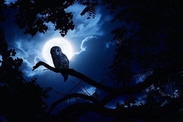 Full-Moon.jpg