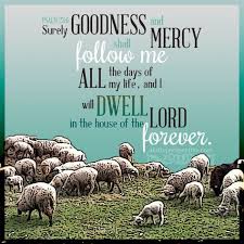 Image result for surely goodness and mercy shall follow me