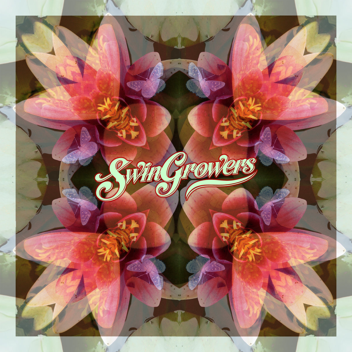 Swingrowers - Butterfly에 대한 이미지 검색결과