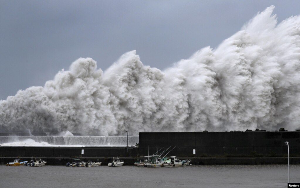 일본 고치현 아키에서 태풍 '제비'의 영향으로 높은 파도가 치고 있다.