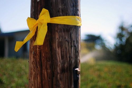 yellow ribbon round the old oak treeì— ëŒ€í•œ ì´ë¯¸ì§€ ê²€ìƒ‰ê²°ê³¼