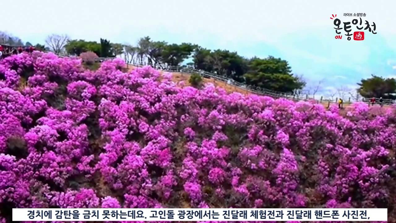 관련 이미지