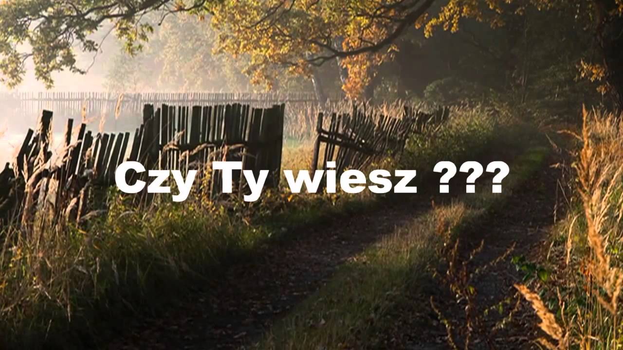 Raz Dwa Trzy - Piosenka Starych Kochankow에 대한 이미지 검색결과