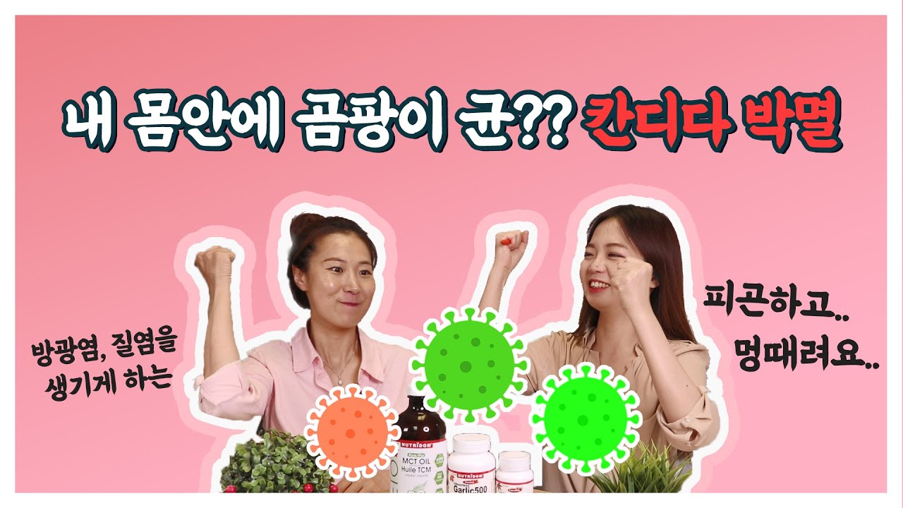 [칸디다균] 우리몸의 곰팡이균인 '칸디다균' 박멸하기! 질염, 백태, 방광염, 무좀 있으신 분 필수 시청