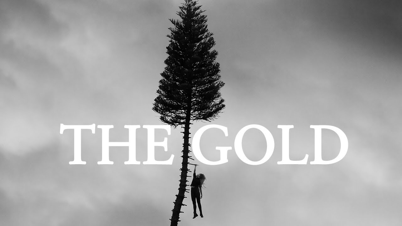 Manchester Orchestra - The Gold에 대한 이미지 검색결과