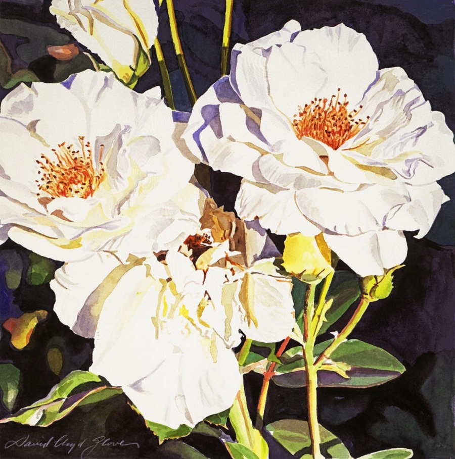 roses-blanc-david-lloyd-glover.jpg