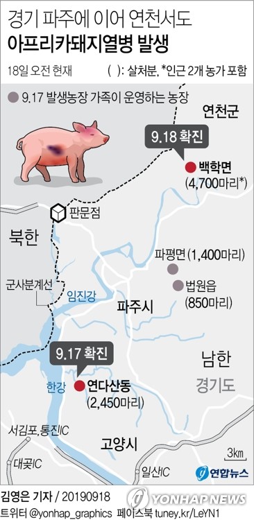 [그래픽] 경기 파주에 이어 연천서도 아프리카돼지열병 발생