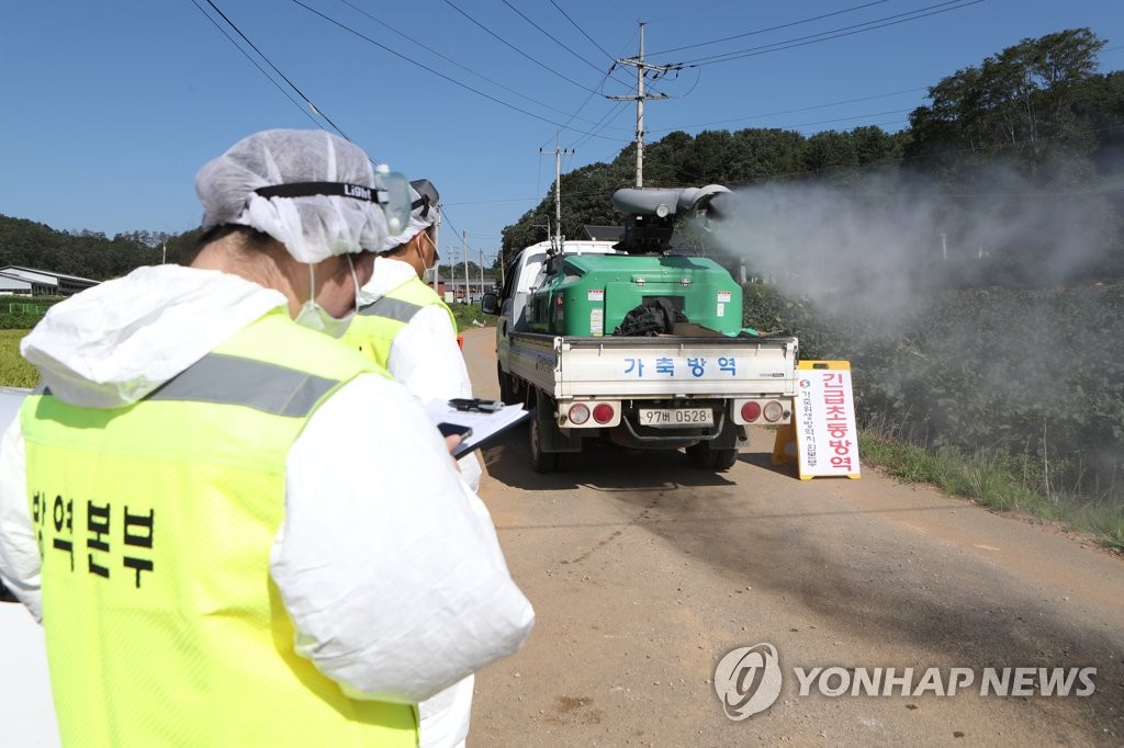 파주에 이어 연천에도 ASF 발생