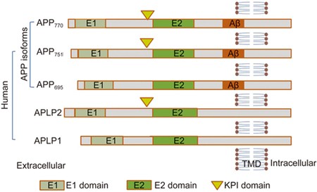 figure1