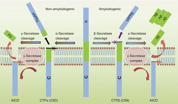 figure2
