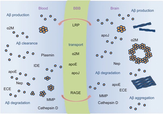 figure5