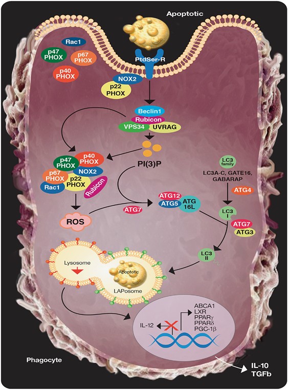 figure2