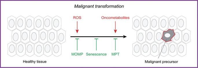 figure1