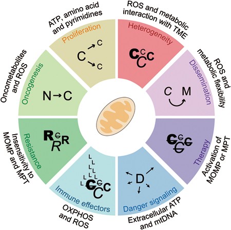 figure5