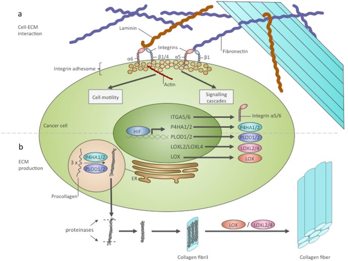 figure2
