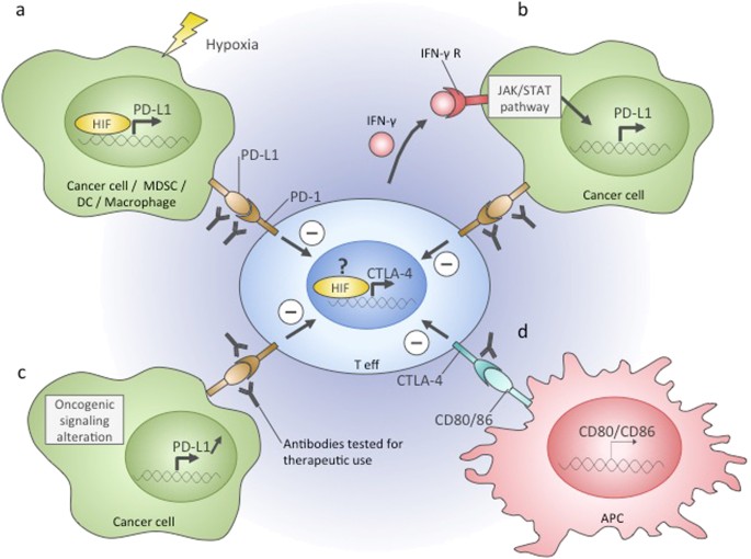 figure3