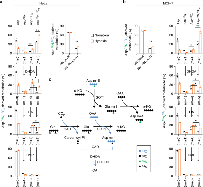 figure4