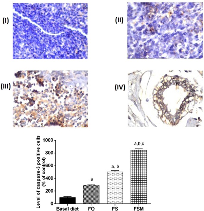 figure13
