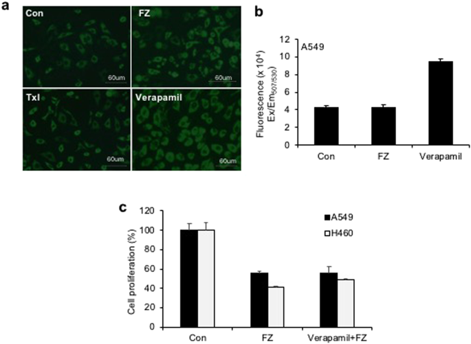 figure2