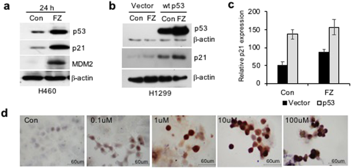 figure6