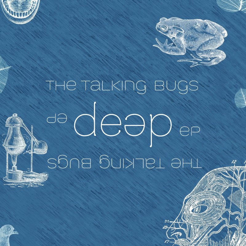 The Talking Bugs - Like A Ship in the Sea에 대한 이미지 검색결과