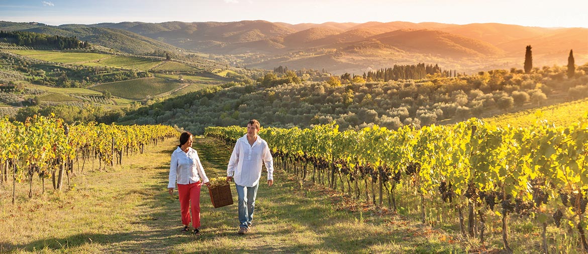 「NAPA VALLEY」の画像検索結果