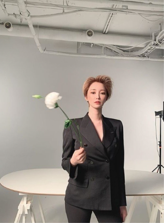 린지 이미지