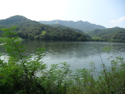광덕 저수지 (경북 김천시 감문면 광덕리) | 블로그