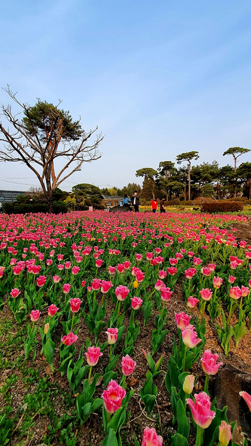 세계일보