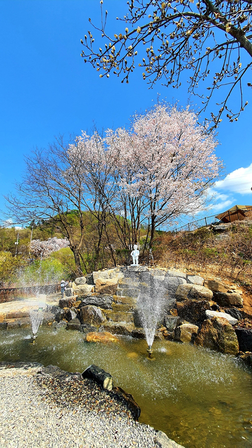 세계일보