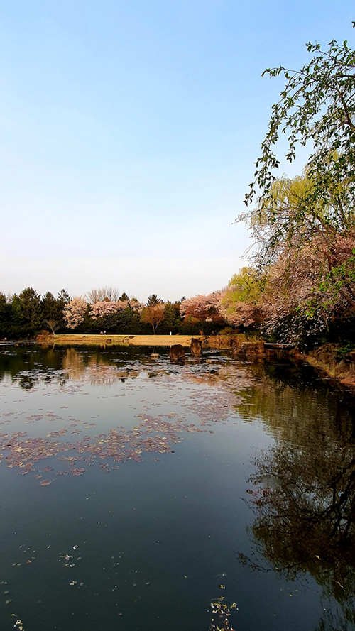 세계일보